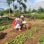 Hoi an Village Experience & Hoi An City Tour with Lantern Boat Ride 14