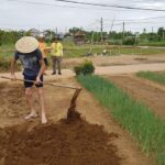 Hoi an Village Experience & Hoi An City Tour with Lantern Boat Ride 9