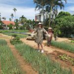 Hoi An Bicycle Tour Around Villages ( 3 Hours ) 2