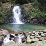 Bach Ma National Park TRekking Private Tour via Hai Van Pass 4