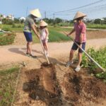 Hoi an village Experience & Basket Boat Ride by Car or Bicycle 6