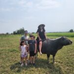 Lantern Making class – Basket boat ride – Buffalo ride – Vegetable Farming 7