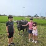 My Son Holyland & Hoi An Village Experience  Private Tour 8