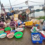 Hoi an Fish market – Early Morning to Local villages & Hidden Gems 1