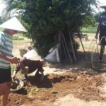 Hoi An Bicycle Tour Around Villages ( 3 Hours ) 3
