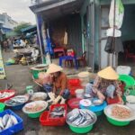 Hoi an Fish market – Early Morning to Local villages & Hidden Gems 2