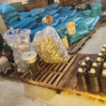 Hoi an Fish market – Early Morning to Local villages & Hidden Gems 9