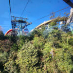 Golden Bridge Ba Nà Hills – Marble Mountain & Am Phu Cave Private Tour 2