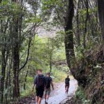Bach Ma National Park TRekking Private Tour via Hai Van Pass 6