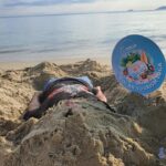 4 Day  Yoga and Meditation Holiday in Hoi An 3