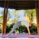 6 Day Relaxing Yoga and Meditation Holiday with Cooking and Excursions in Hoi An 1